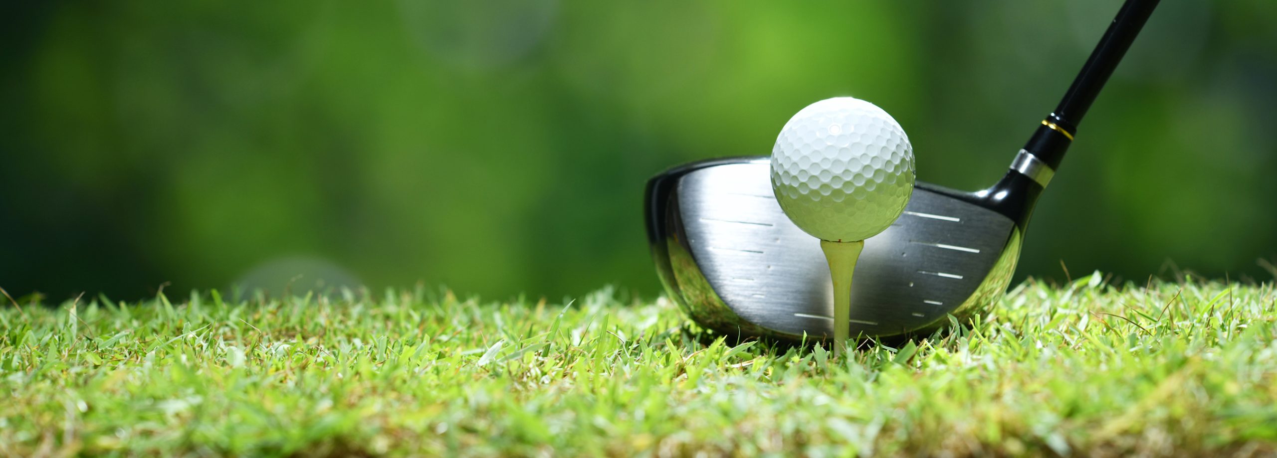 Golf Putter Shop -Golf Putter Shop 4 scaled